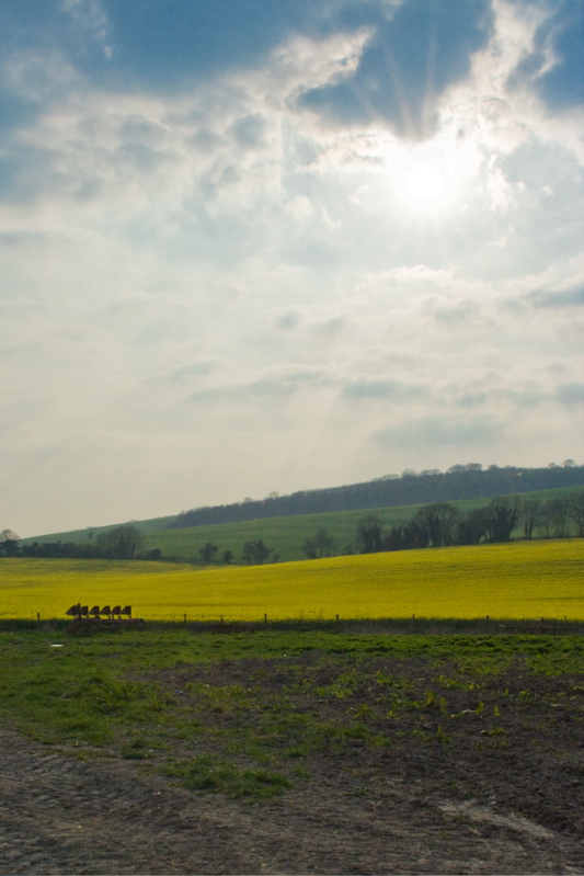 Countryside