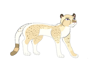 Cheetah Design