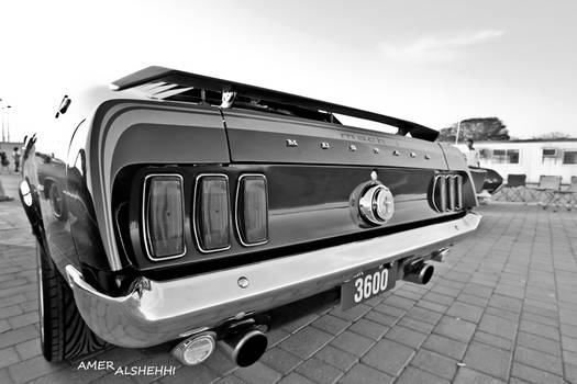 mustang