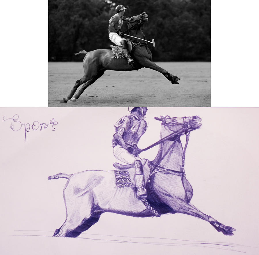 Polo Pony with reference