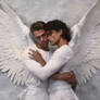 Gay Angels 13