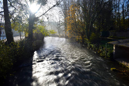 3421 Water flow in autumn