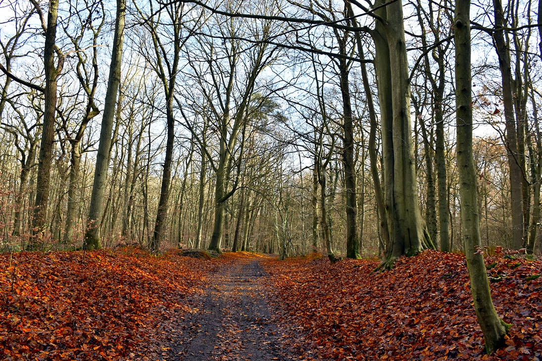 Native Red Path 2922 Red path by RealMantis on DeviantArt