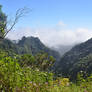 0321 Mountains in Madeira