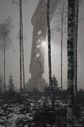 Robot in a Misty Forest