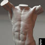 Torso PPH 01