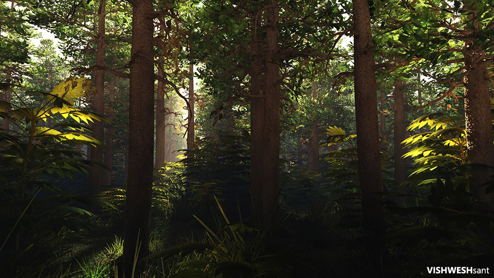 Forest II