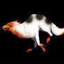 : Wolf Adopt  Orange n` Black - 8 Points - TAKEN :