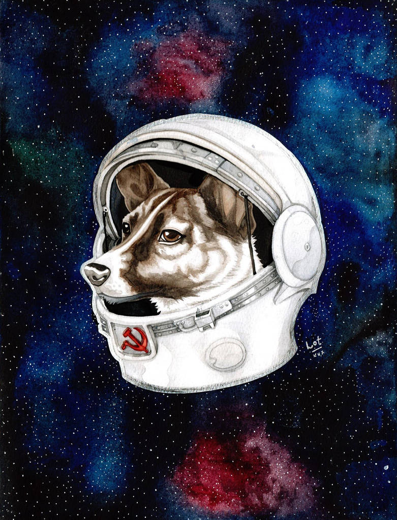 Лиса космонавт арт