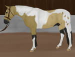 California Pintaloosa and Buckskin Hunter in Hand by Snow-shoe