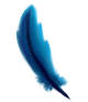 Miniature Feather