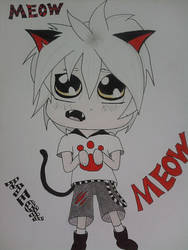 Kawaii cat boy