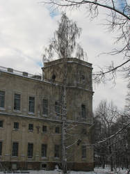 Birch and Tower