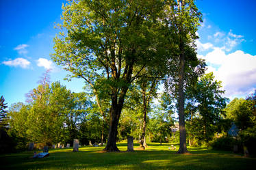 Grove Hill Cemetery