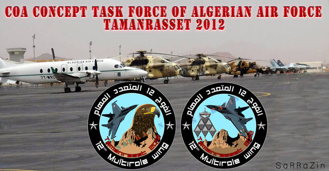 Tamarasset task force concept