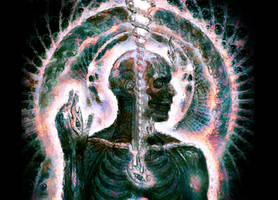 Lateralus - Decay
