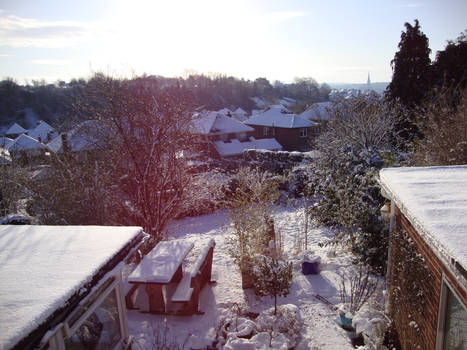 Snowy garden