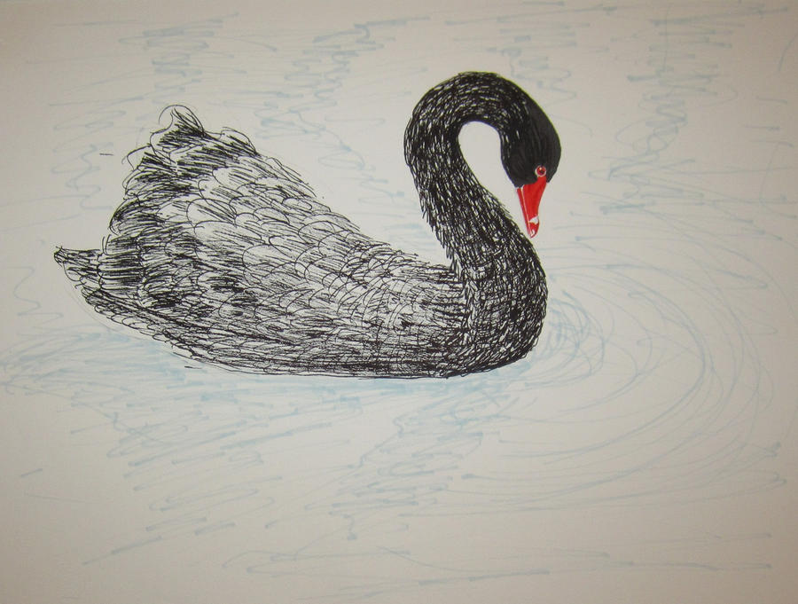 Swan Ink Drawing Black Swan ink sketch by TheGundamMKII on DeviantArt
