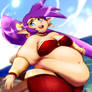 Shantae The True Belly Dancer