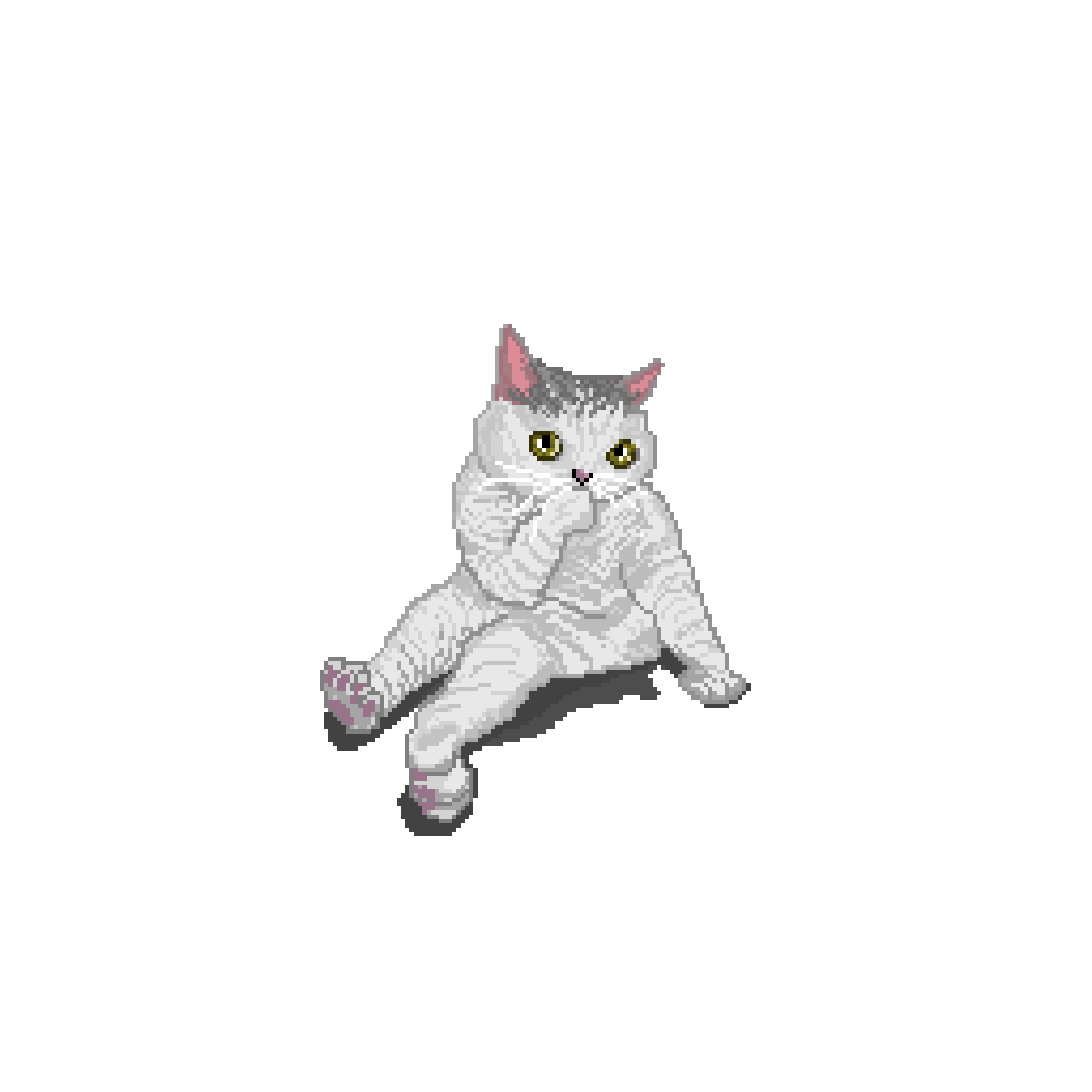 Shy cat by doodga on DeviantArt