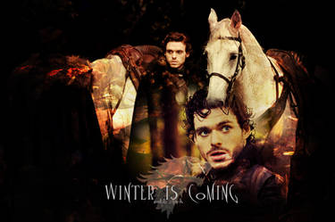 Robb Stark