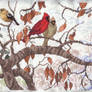 Bird Seasons