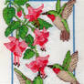 Hummingbirds and Fuchsia