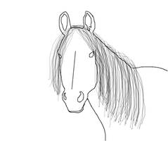 Horse Head Lineart