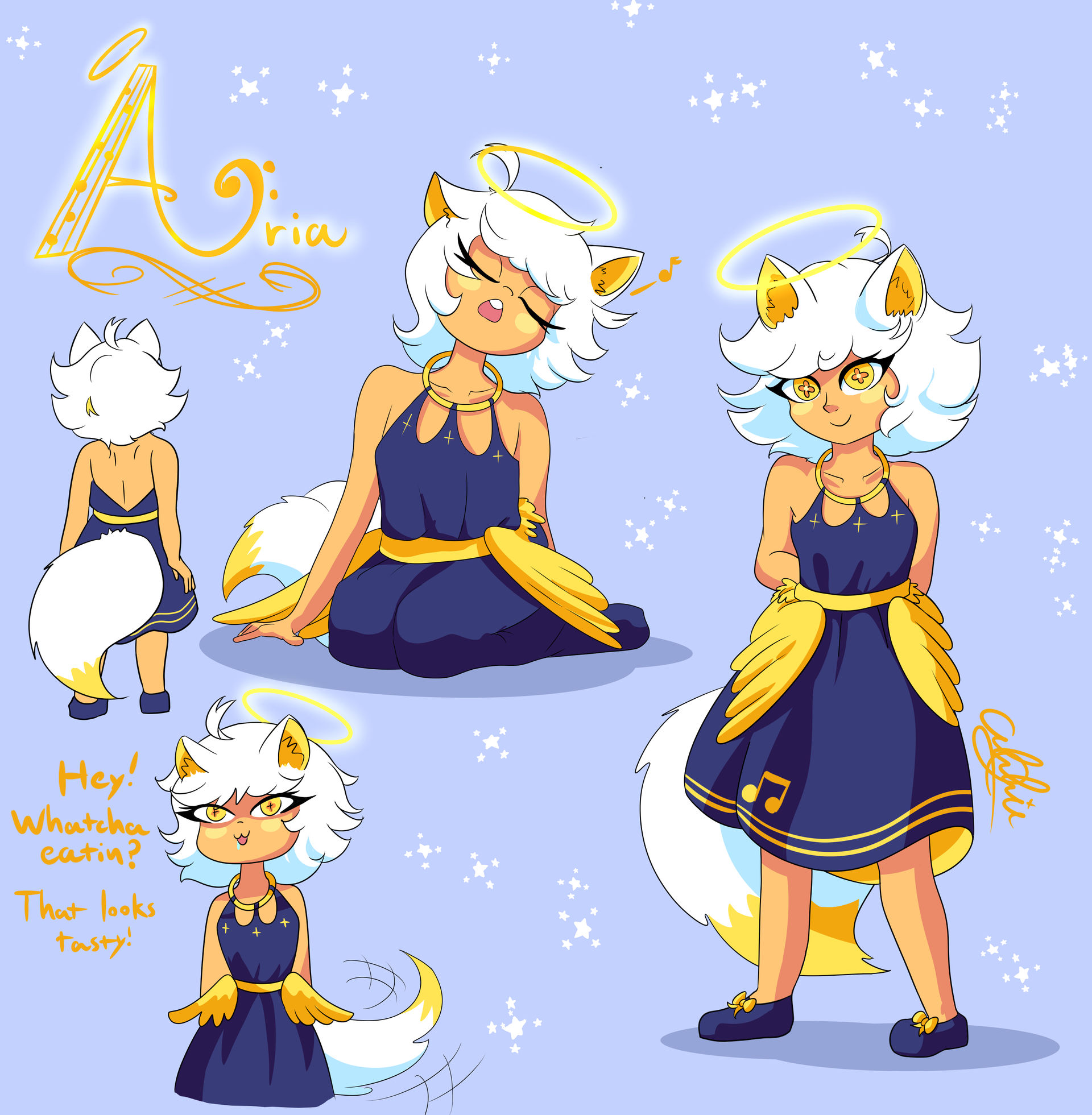 Aria