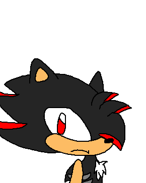 Shade The Hedgehog