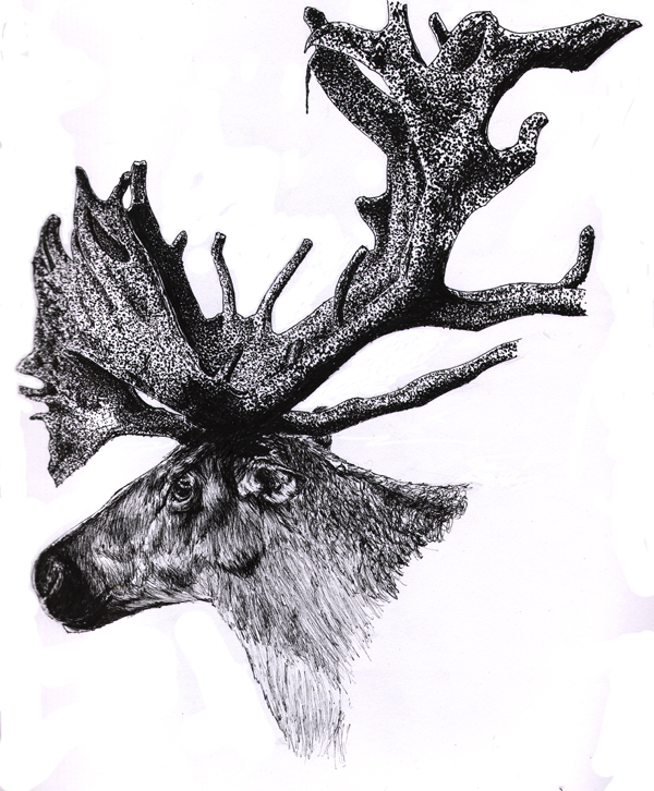 Caribou Ink