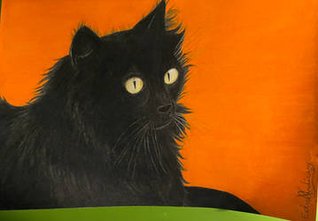 Black cat: Christmas gift 2/5 (Dec 2022)