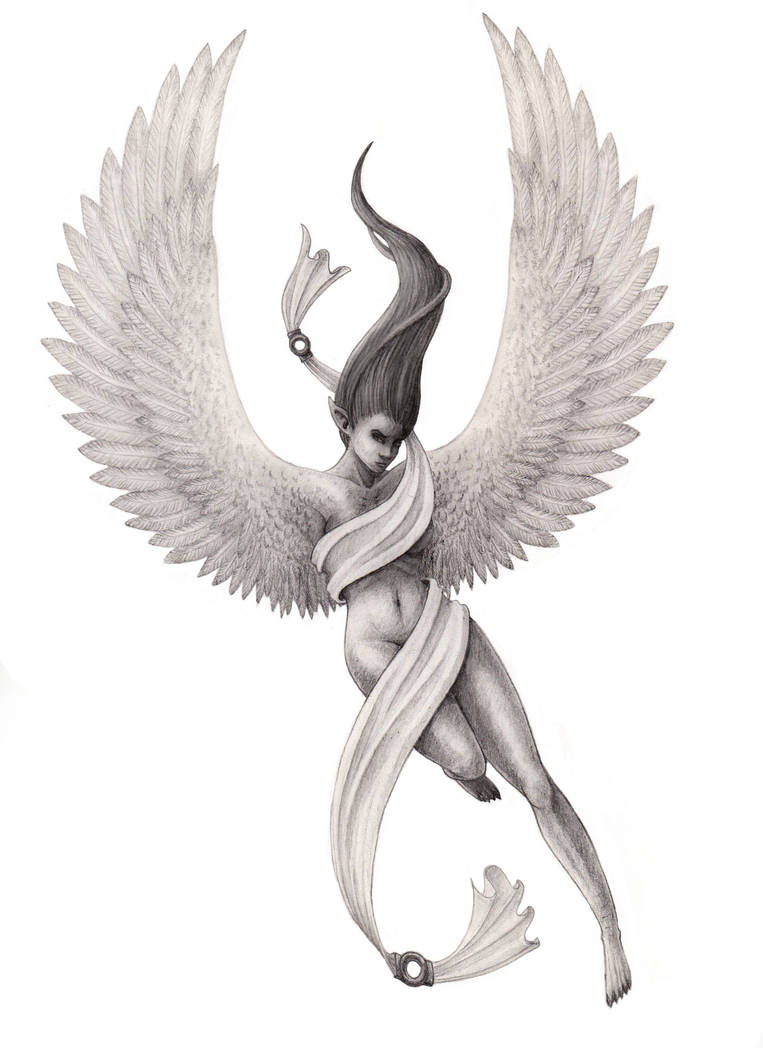 Harpy by TheUnseelie Harpy by TheUnseelie