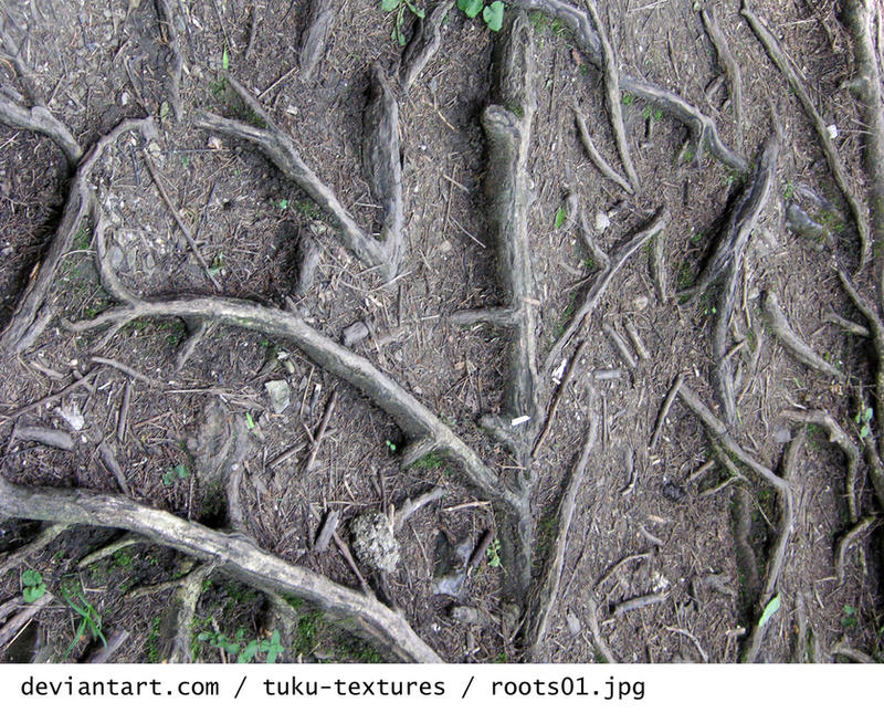 2d Root Texture Roots by tuku-textures on DeviantArt