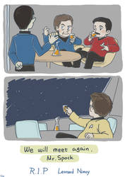 Star Trek TOS: We will meet again