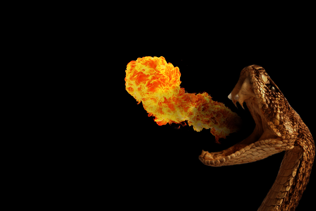 Fire Breathing Snake By Joshua159258 On DeviantArt.