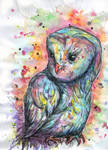 hibou color by marina-mew