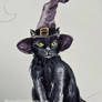 Behind-the-scenes peek at my little witchy cat