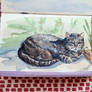 Lazy Cat Watercolor Sketch