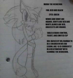 Maria the Hedgehog (My newest OC)