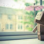 Danbo