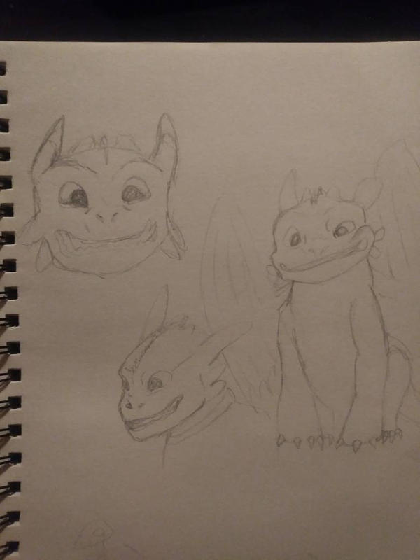 Toothless sketches by slipping-into-static on DeviantArt