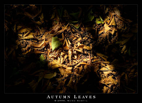 Autumn Leaves