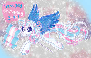 Trans Day of Visibility 2026