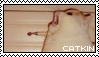 catkin stamp