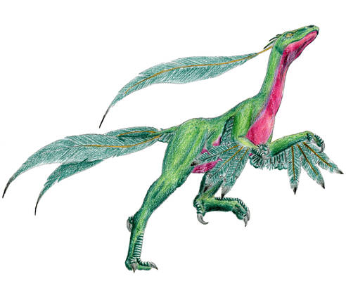 Grovyle realistic