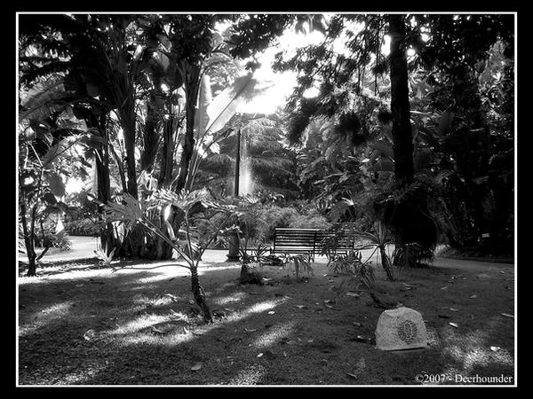 The Park by Deerhounder on DeviantArt