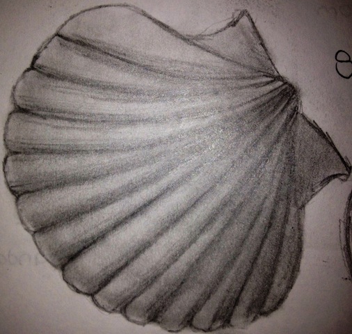 Shell