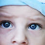 Baby Blue eyes