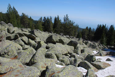 Avalanche of rocks